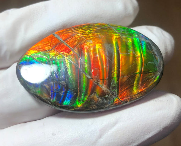 Auction Closed! Free shiping🌈🌈Auction!! **Please read the description** Rainbow Striatons! Natural hand polished, Free Form . FFNT166 Ammolite High Grade.