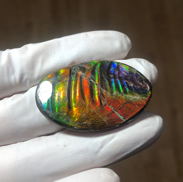 Auction Closed! Free shiping🌈🌈Auction!! **Please read the description** Rainbow Striatons! Natural hand polished, Free Form . FFNT166 Ammolite High Grade.