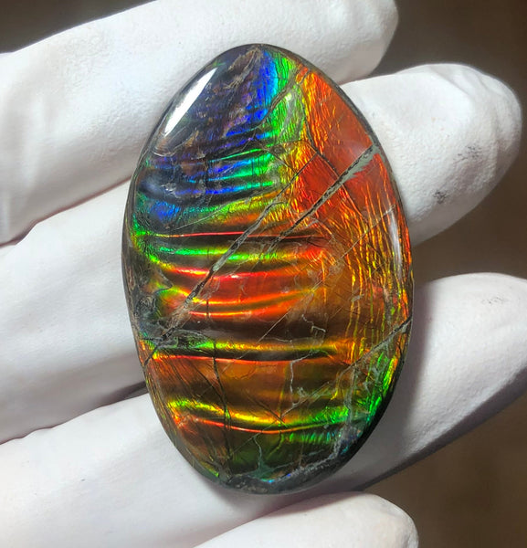 Auction Closed! Free shiping🌈🌈Auction!! **Please read the description** Rainbow Striatons! Natural hand polished, Free Form . FFNT166 Ammolite High Grade.