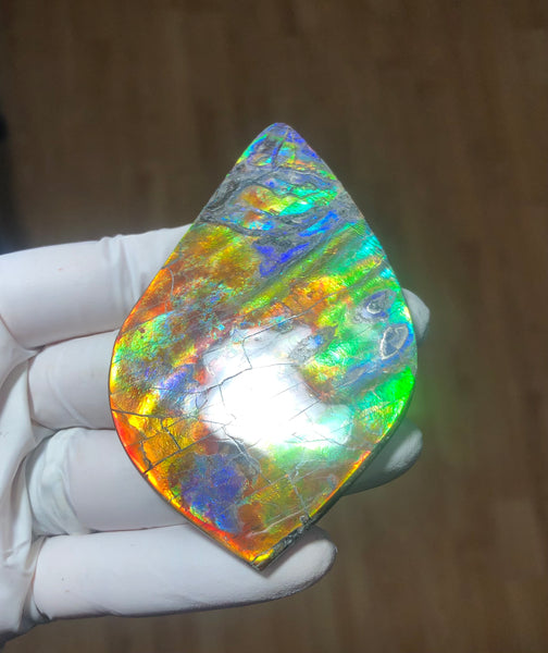 Auction CLOSED! 🌈Premium Auction!!  IMP-88 Super RARE LARGE Natural Hand Polished Ammolite Double-Sided Rainbow Beauty !PREMIUM  FREE SHIPPING