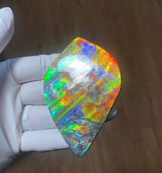 Auction CLOSED! 🌈Premium Auction!!  IMP-88 Super RARE LARGE Natural Hand Polished Ammolite Double-Sided Rainbow Beauty !PREMIUM  FREE SHIPPING