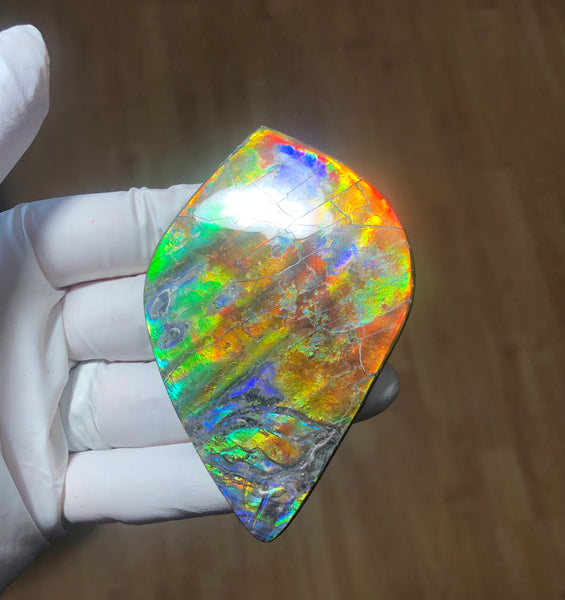 Auction CLOSED! 🌈Premium Auction!!  IMP-88 Super RARE LARGE Natural Hand Polished Ammolite Double-Sided Rainbow Beauty !PREMIUM  FREE SHIPPING