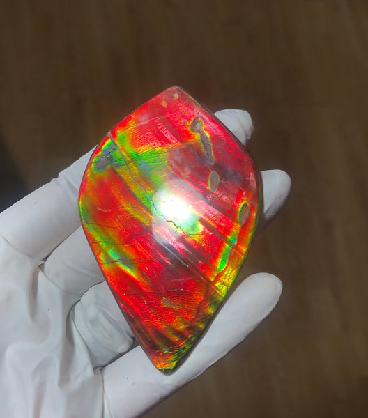 Auction CLOSED! 🌈Premium Auction!!  IMP-88 Super RARE LARGE Natural Hand Polished Ammolite Double-Sided Rainbow Beauty !PREMIUM  FREE SHIPPING