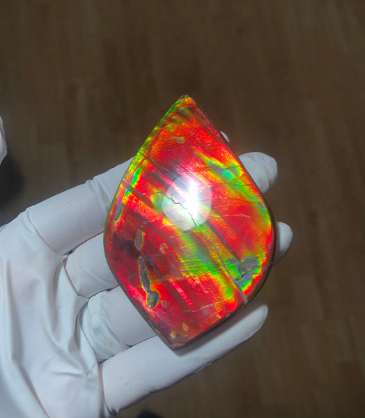 Auction CLOSED! 🌈Premium Auction!!  IMP-88 Super RARE LARGE Natural Hand Polished Ammolite Double-Sided Rainbow Beauty !PREMIUM  FREE SHIPPING