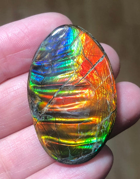 Auction Closed! Free shiping🌈🌈Auction!! **Please read the description** Rainbow Striatons! Natural hand polished, Free Form . FFNT166 Ammolite High Grade.