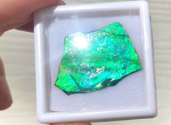 Ammolite Rough Display  30x23mm - RS-16 Rough Stone Collection Ammlite  アンモライト 原石ラフ