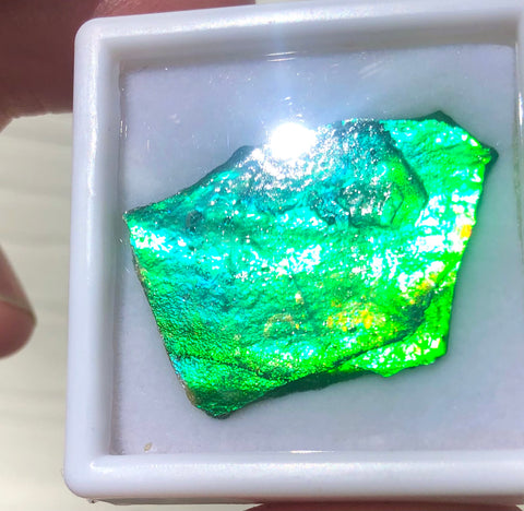 Ammolite Rough Display  30x23mm - RS-16 Rough Stone Collection Ammlite  アンモライト 原石ラフ