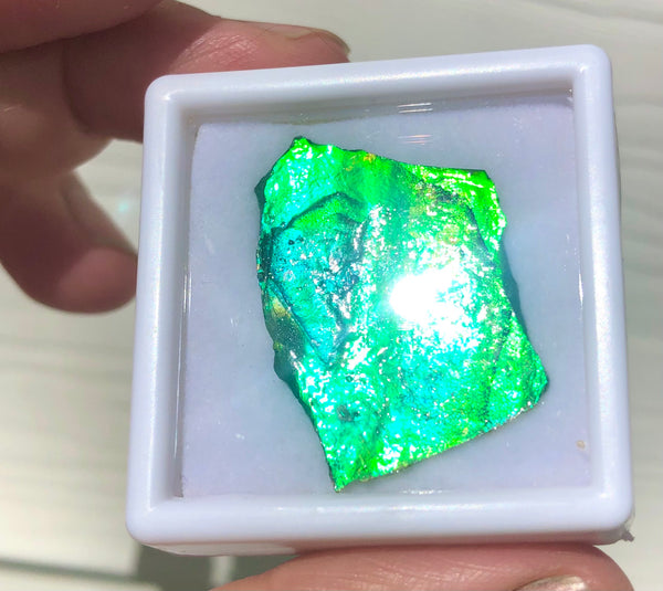 Ammolite Rough Display  30x23mm - RS-16 Rough Stone Collection Ammlite  アンモライト 原石ラフ