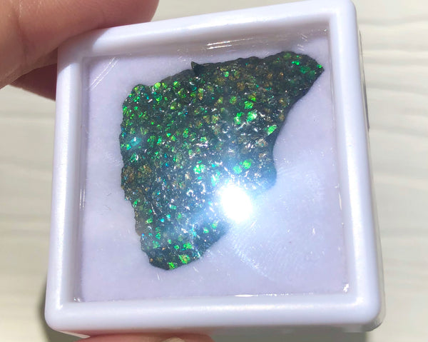 Ammolite Rough Display  33x23mm - RS-18 Rough Stone Collection Ammlite  アンモライト 原石ラフ