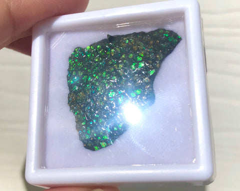 Ammolite Rough Display  33x23mm - RS-18 Rough Stone Collection Ammlite  アンモライト 原石ラフ