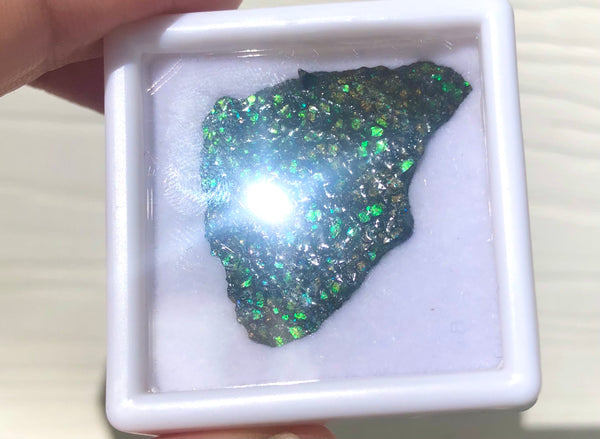 Ammolite Rough Display  33x23mm - RS-18 Rough Stone Collection Ammlite  アンモライト 原石ラフ