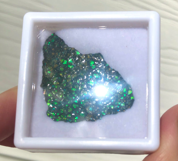 Ammolite Rough Display  33x23mm - RS-18 Rough Stone Collection Ammlite  アンモライト 原石ラフ