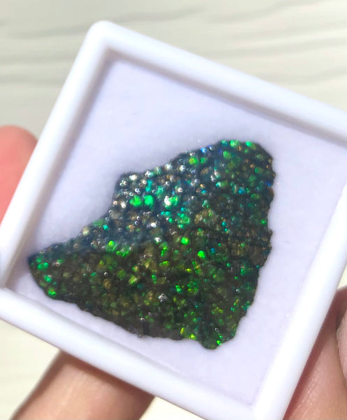 Ammolite Rough Display  33x23mm - RS-18 Rough Stone Collection Ammlite  アンモライト 原石ラフ
