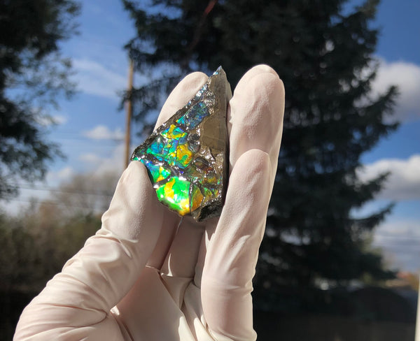 2"  Ammolite Rough Display Double-Sided  51mm - RS-22  Rough Stone Collection Ammolite