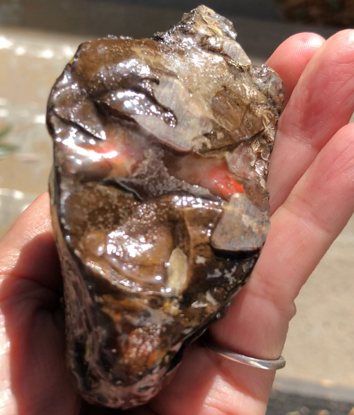 3.55"  Ammolite Rough Display Double-Sided  90mm - RS-21 Rough Stone Collection Ammolite