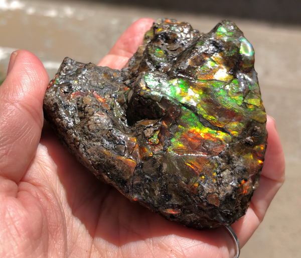 3.55"  Ammolite Rough Display Double-Sided  90mm - RS-21 Rough Stone Collection Ammolite