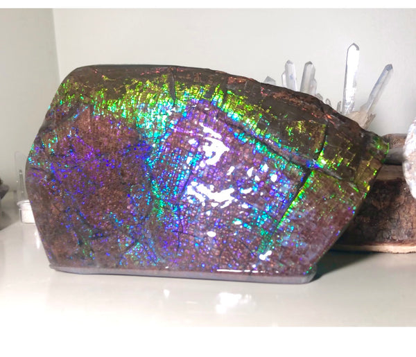 Dragon Skin Collector Stone Double Sided Specimen - CS-206***FREE SHIPPING****アンモライト　コレクターストーン