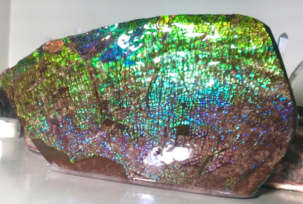 Dragon Skin Collector Stone Double Sided Specimen - CS-206***FREE SHIPPING****アンモライト　コレクターストーン