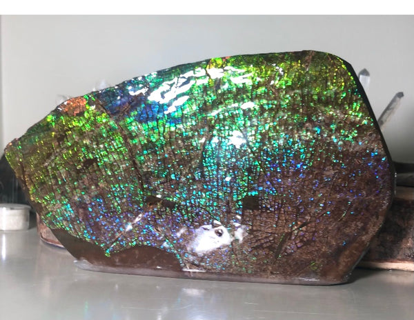 Dragon Skin Collector Stone Double Sided Specimen - CS-206***FREE SHIPPING****アンモライト　コレクターストーン