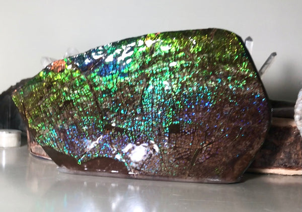 Dragon Skin Collector Stone Double Sided Specimen - CS-206***FREE SHIPPING****アンモライト　コレクターストーン