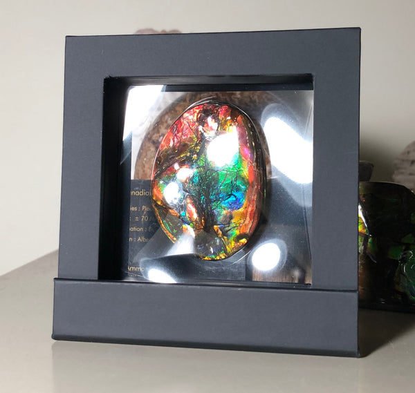 55x41x6㎜  LARGE Natural  Free Form . FFNT 139 Ammolite  BEAUTY ナチュラル　ルース　アンモライト フリーフォーム