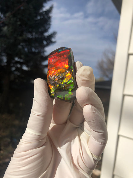 2"  Ammolite Rough Display Double-Sided  51mm - RS-23  Rough Stone Collection Ammolite