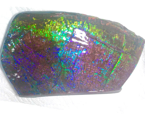 Dragon Skin Collector Stone Double Sided Specimen - CS-206***FREE SHIPPING****アンモライト　コレクターストーン