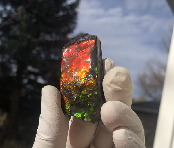 2"  Ammolite Rough Display Double-Sided  51mm - RS-23  Rough Stone Collection Ammolite
