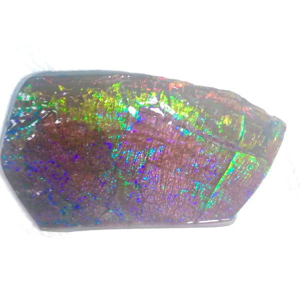 Dragon Skin Collector Stone Double Sided Specimen - CS-206***FREE SHIPPING****アンモライト　コレクターストーン