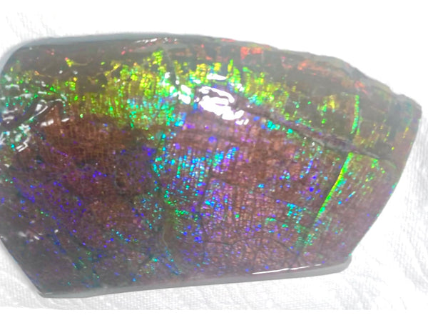 Dragon Skin Collector Stone Double Sided Specimen - CS-206***FREE SHIPPING****アンモライト　コレクターストーン