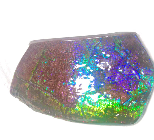 Dragon Skin Collector Stone Double Sided Specimen - CS-206***FREE SHIPPING****アンモライト　コレクターストーン