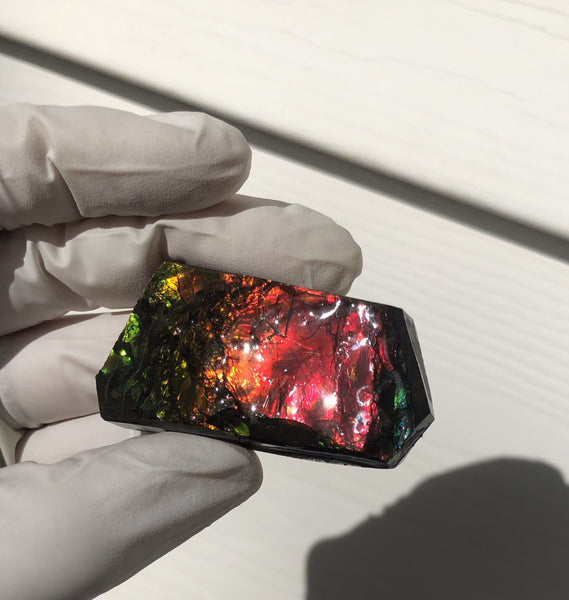 2"  Ammolite Rough Display Double-Sided  51mm - RS-23  Rough Stone Collection Ammolite