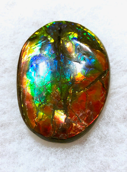 55x41x6㎜  LARGE Natural  Free Form . FFNT 139 Ammolite  BEAUTY ナチュラル　ルース　アンモライト フリーフォーム
