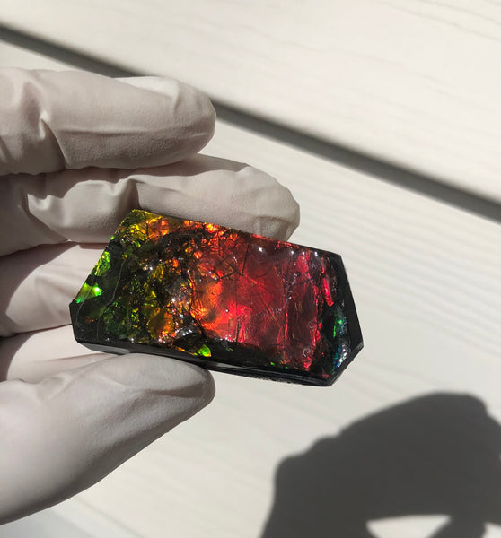 2"  Ammolite Rough Display Double-Sided  51mm - RS-23  Rough Stone Collection Ammolite
