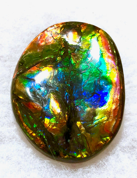 55x41x6㎜  LARGE Natural  Free Form . FFNT 139 Ammolite  BEAUTY ナチュラル　ルース　アンモライト フリーフォーム