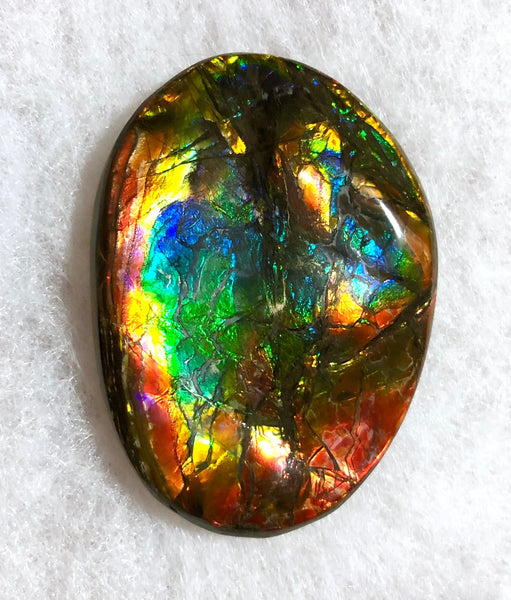 55x41x6㎜  LARGE Natural  Free Form . FFNT 139 Ammolite  BEAUTY ナチュラル　ルース　アンモライト フリーフォーム