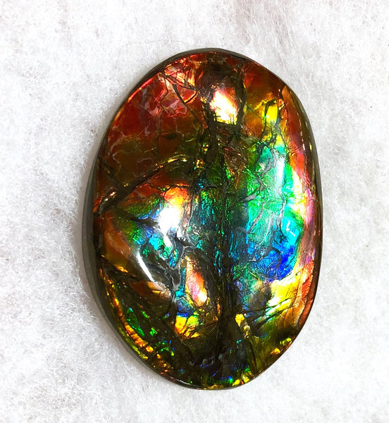 55x41x6㎜  LARGE Natural  Free Form . FFNT 139 Ammolite  BEAUTY ナチュラル　ルース　アンモライト フリーフォーム