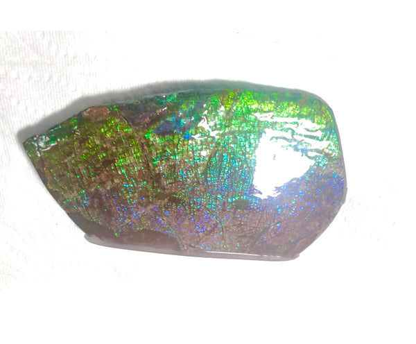 Dragon Skin Collector Stone Double Sided Specimen - CS-206***FREE SHIPPING****アンモライト　コレクターストーン