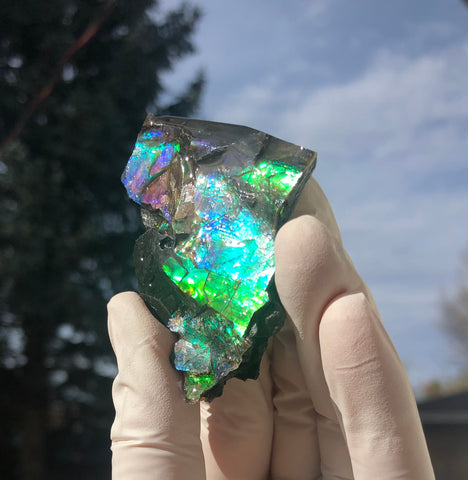 2.3"  Ammolite Rough Display Double-Sided  59.5mm - RS-24  Rough Stone Collection Ammolite