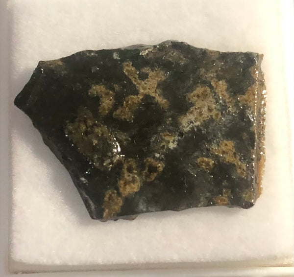 Ammolite Rough Display  30x23mm - RS-16 Rough Stone Collection Ammlite  アンモライト 原石ラフ