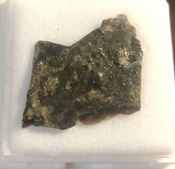 Ammolite Rough Display  30x23mm - RS-17 Rough Stone Collection Ammlite  アンモライト 原石ラフ