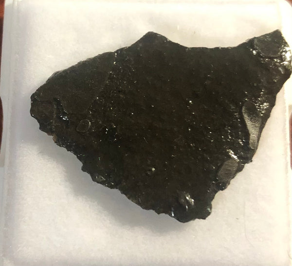 Ammolite Rough Display  33x23mm - RS-18 Rough Stone Collection Ammlite  アンモライト 原石ラフ