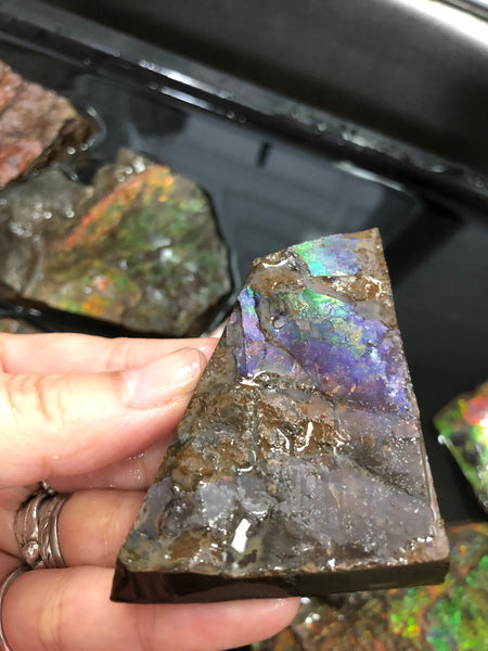 Ammolite Rough Stone Lot,  Rough Ammolite
