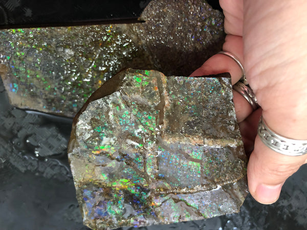 Ammolite Rough Stone Lot,  Rough Ammolite