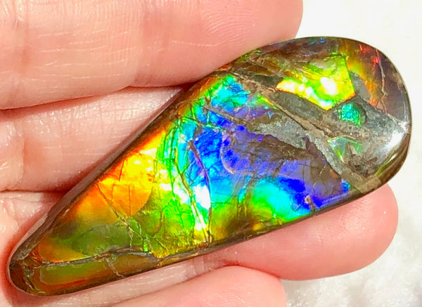 52.5 x 20 mm  Natural  Free Form with a nipplite. FFNT 115 Ammolite  ナチュラル　ルース　アンモライト フリーフォーム