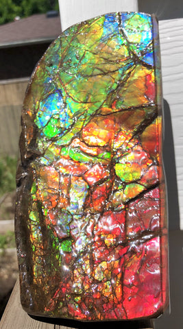 Ammolite Display Stone Hand Specimen Huge Section Piece 200mm 7.9" Collector Stone Home Décor  - CS-217***アンモライト　コレクターストーン