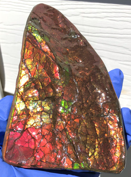 Ammolite Display Stone Hand Specimen Huge Section Piece 178mm 7" Collector Stone Home Décor  - CS-218***アンモライト　コレクターストーン