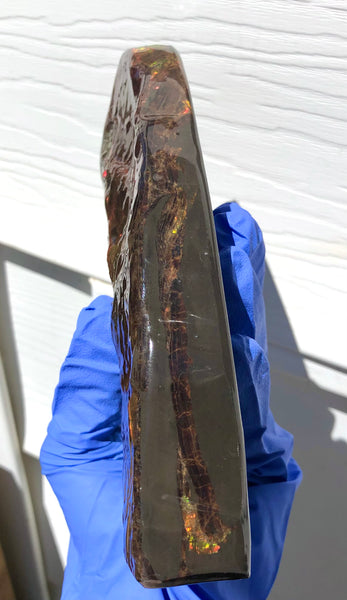 Ammolite Display Stone Hand Specimen Huge Section Piece 178mm 7" Collector Stone Home Décor  - CS-218***アンモライト　コレクターストーン