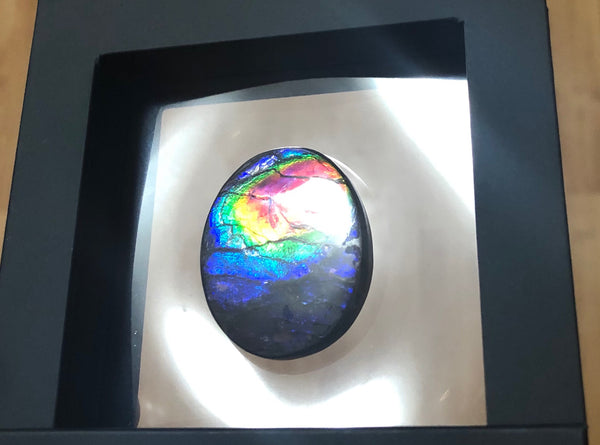 Rainbow colors / crimson red 39x32 mm  Top Grade Natural  Free Form . FFNT 140 Ammolite  レインボーカラー深紅！ナチュラル　ルース　アンモライト ケース付！