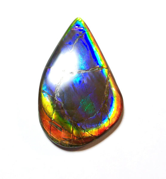 48x30 mm  Top Grade Natural  Free Form . FFNT 112 Ammolite  Free Shipping! ナチュラル　ルース　アンモライト ケース付　送料無料！